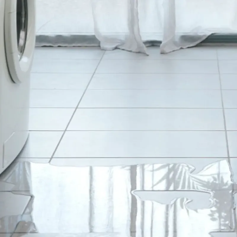 Appliance Leak Cleanup in Lantana, TX