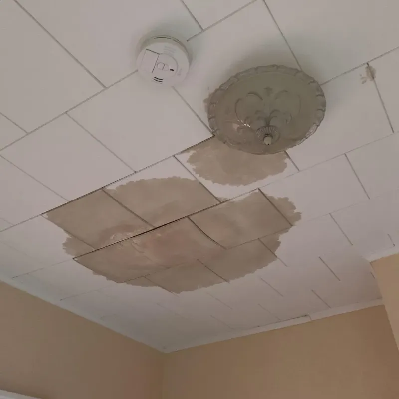 Ceiling Water Damage Repair in Lantana, TX